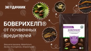 Боверихелп® - видеоинструкция по применению от производителя