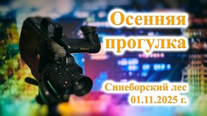 ТВ Синеборск - Осенняя прогулка - 01.11.2025 г.