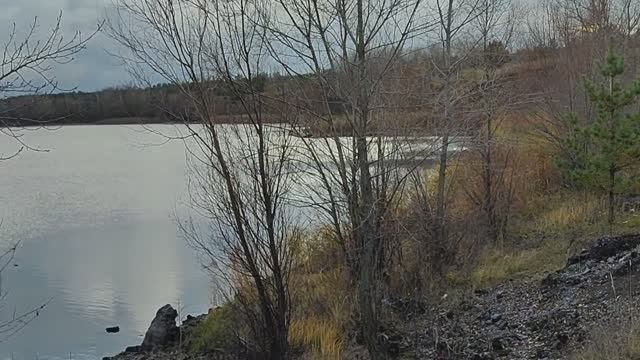 Велопрогулка \\ 2 ноября. смотреть онлайн