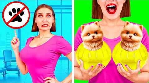 Как Пронести Домашних Животных в Самолёт | Смешные Челленджи от TeamTeen Challenge