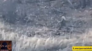 Извините, мне просто некогда...