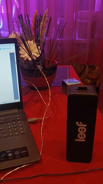 как я повесила фито лампы смотреть онлайн