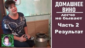 Как сделать вино из винограда беззатворным способом .Показываю результат