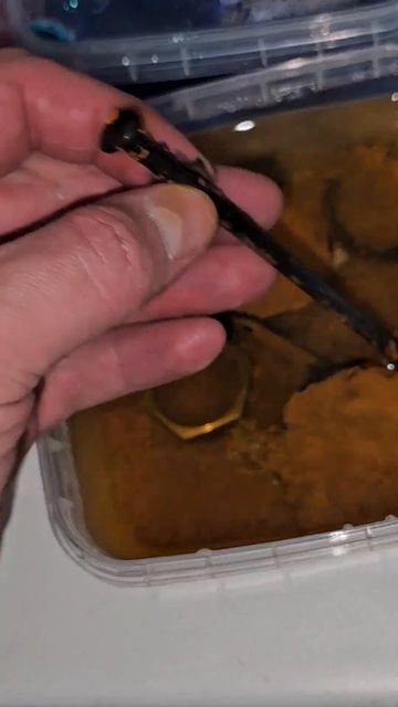 Дистиллированная вода в системе отопления: плюсы и минусы! смотреть онлайн