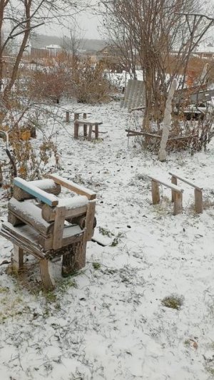 Наш любимый огород в деревне на 3 ноября к нам пришла зима!