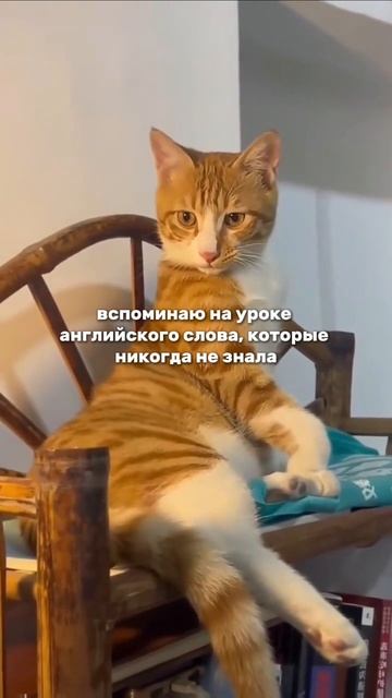 С тобой бывало?😅