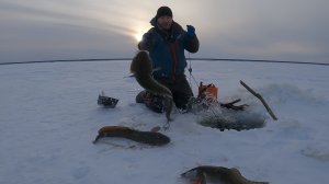 ПЕРЕМЕТ | ПРОВЕРКА 02.11.2025