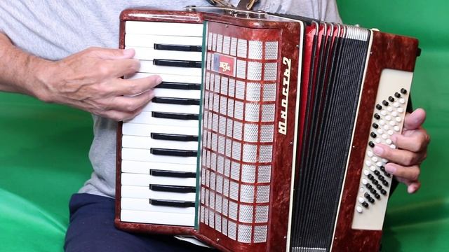 Аккордеон Юность