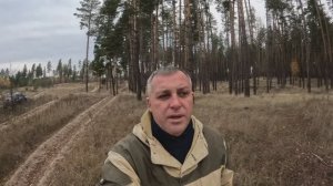 Осенний поход в лес за грибами.