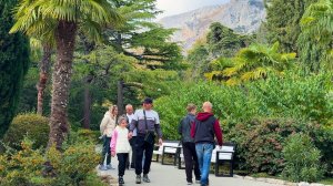 Красоты и реалии Крыма. Стоит ли ехать сейчас?