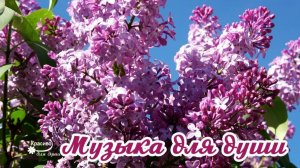 Красивая Релакс Музыка Для Души (цветущие сады и парки)