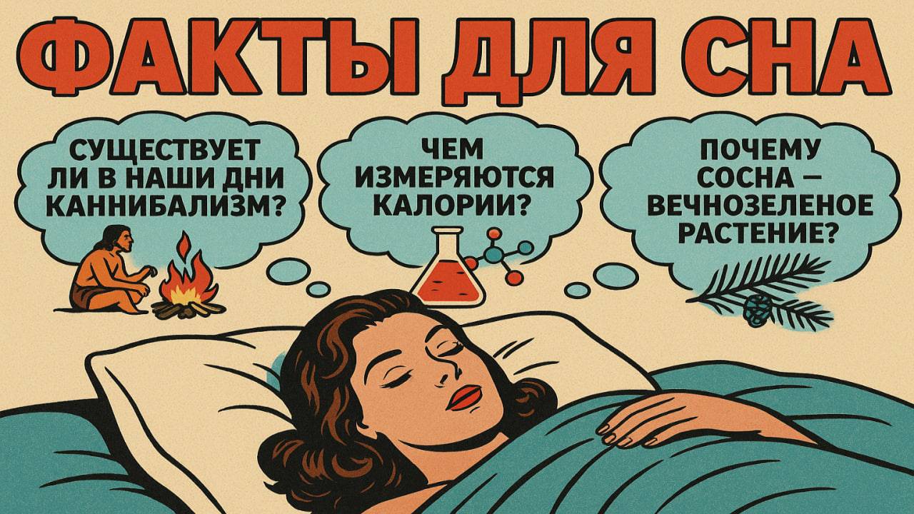 Факты для сна: Удивительные и интересные факты, чтобы быстро уснуть смотреть онлайн