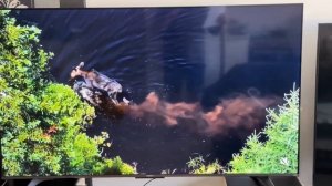 Телевизор Xiaomi MI TV A Pro 65 2025, QLED, 4K Ultra HD