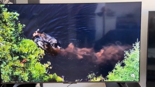 Телевизор Xiaomi MI TV A Pro 65 2025, QLED, 4K Ultra HD
