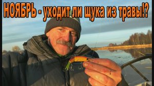 Ноябрь-уходит ли щука из травы