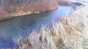 Небольшая прогулка с собакой