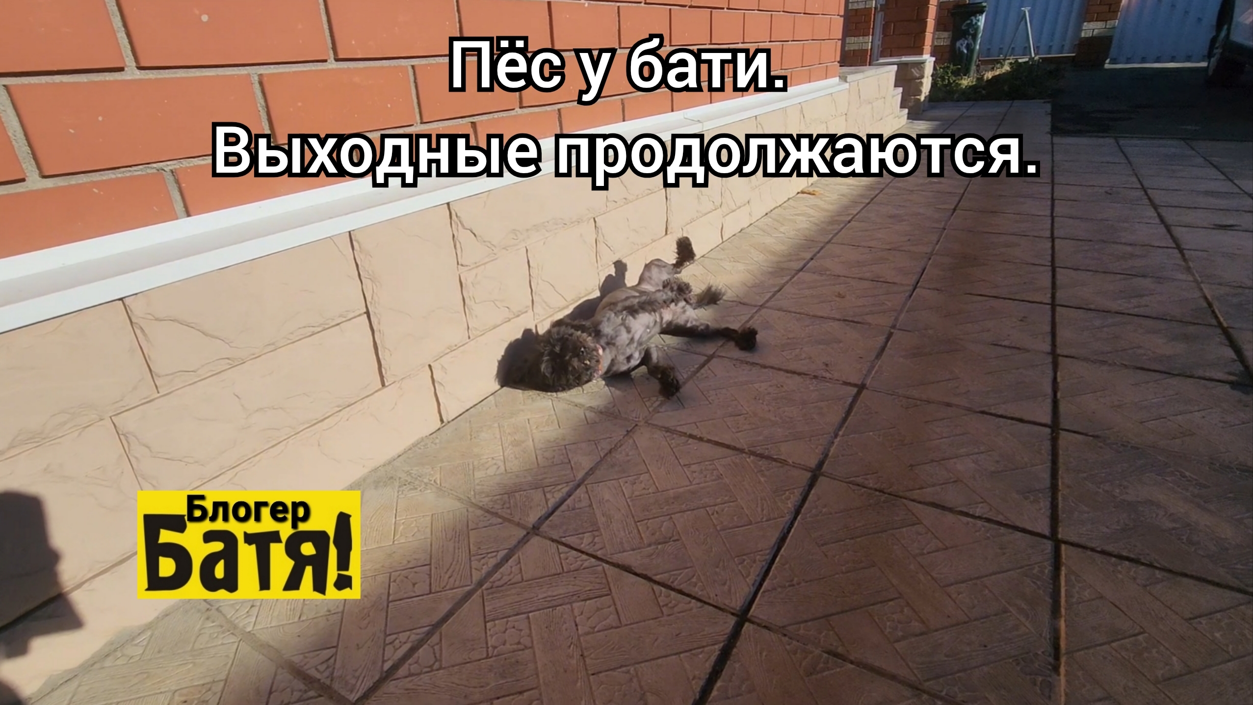 Выходной у Бати. смотреть онлайн