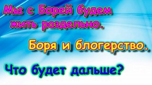Мы с Борей разъезжаемся. Боря и блогерство. (11.25г.) Семья Бровченко.