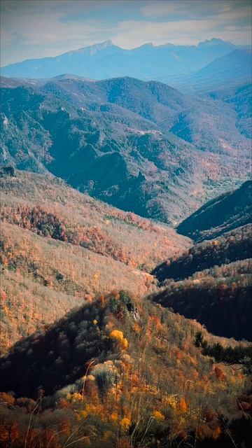 Адыгея 2025 ст Даховская. Стихи вашего покорного слуги)