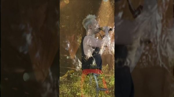 #SHAMAN♥
"Беловежская пуща"