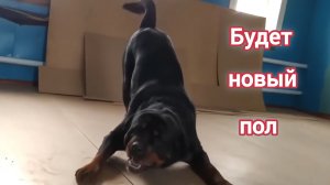 Провалилась в уличном туалете. настелили пол в доме. Как это было 6 серия.