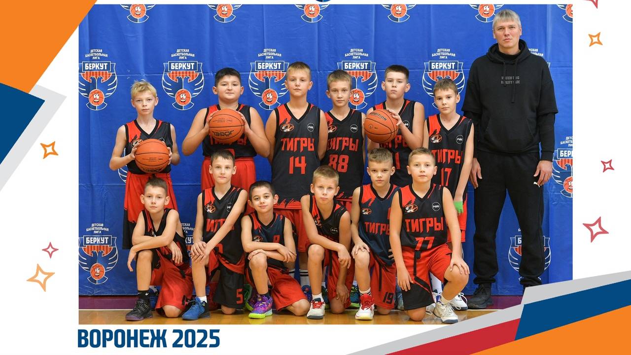 Драконы -Тигры