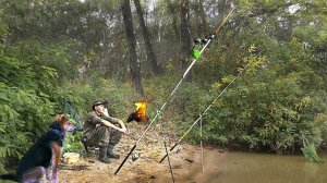 БУБЕНЦЫ ЗВЕНЯТ..... ПЛОТВА КЛЮЁТ!  РЫБАЛКА НА ДОНКИ осенью.