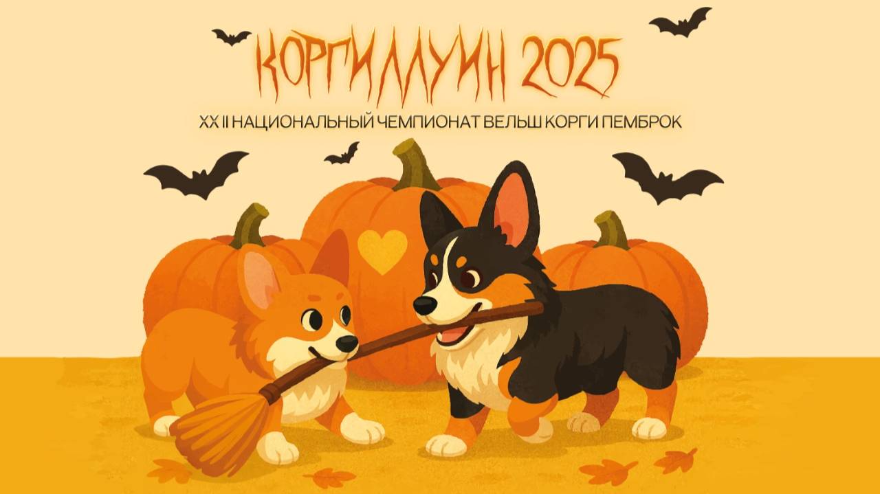 XXII Национальный чемпионат вельш корги пемброк смотреть онлайн