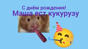 с днём рождения Маша! ей уже 1 годик
