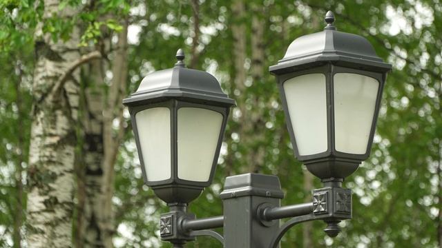 Разумные метры Аквилона смотреть онлайн