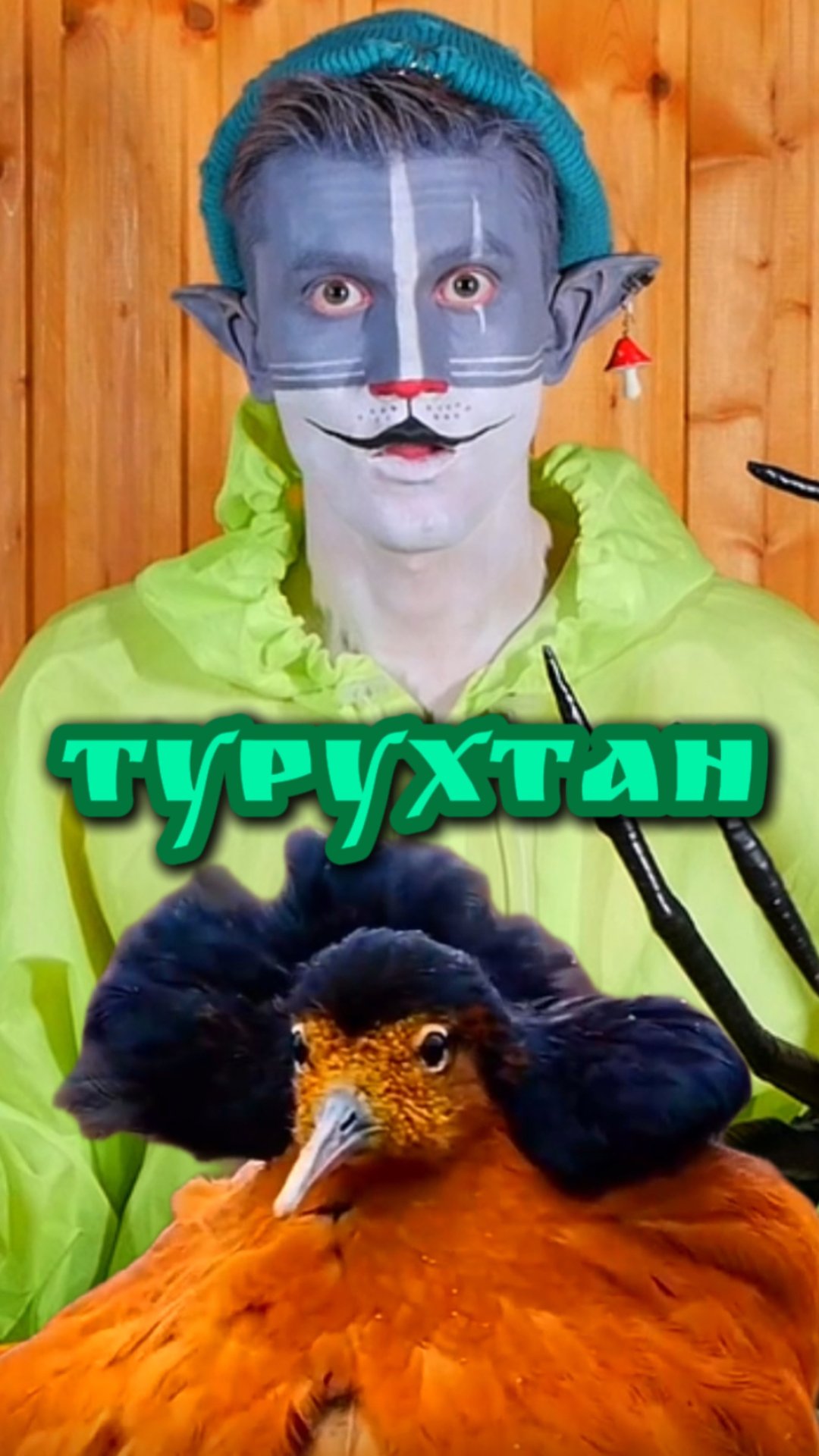 Кот Учёный и Турухтан 🦅 смотреть онлайн