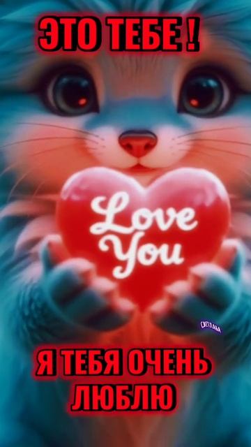 VID-20251027-WA0009.mp4