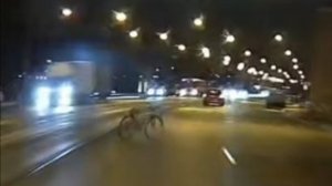 Призрачный гонщик в Санкт-Петербурге