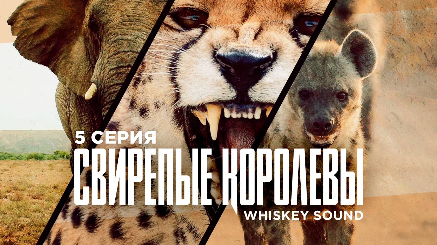 Свирепые королевы (5 серия) | Fierce Queens | Дубляж Whiskey Sound