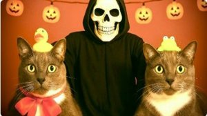 ЕСЛИ БЫ КОТИКИ ХОДИЛИ В ШКОЛУ - ПРАНКИ НАД УЧЕНИКАМИ НА ХЭЛЛОУИН [kotiynet]