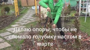 6 соток 28 октября 2025 года. Хроника.