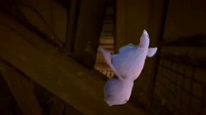 1 серия | Буба на кухне