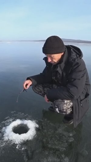 УЛОВИСТАЯ МОРМЫШКА.