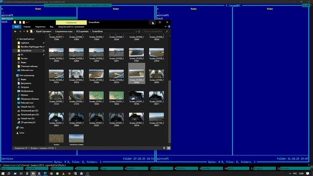 Установка, удаление, включение и отключение модов в авиасимуляторе DCS