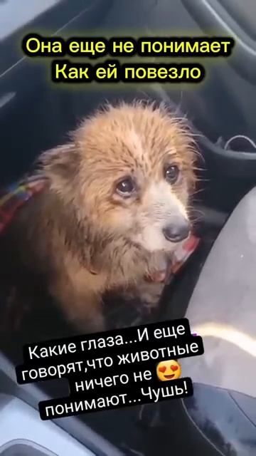 Как же ей повезло с новым другом [get.gt] смотреть онлайн