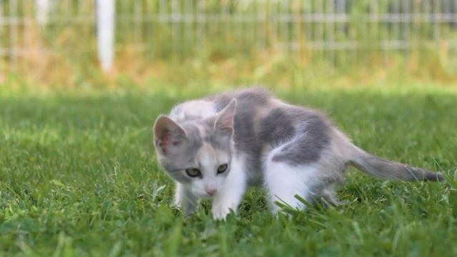 Лихие 90е.
Сожгли лорек вместе с молодыми людьми!
История о Евгении!