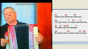 ЗОРЬКА АЛАЯ на моей гармони