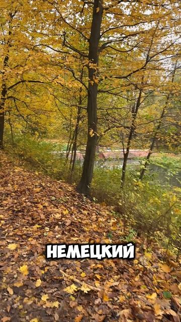 Любимый район в Калининграде #калининград #недвижимость #осень смотреть онлайн