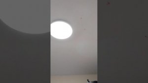 каждый уважающий себя ребенок перед сном