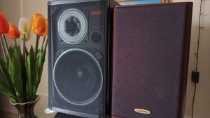 Сравниваем звучание акустических систем Onkyo