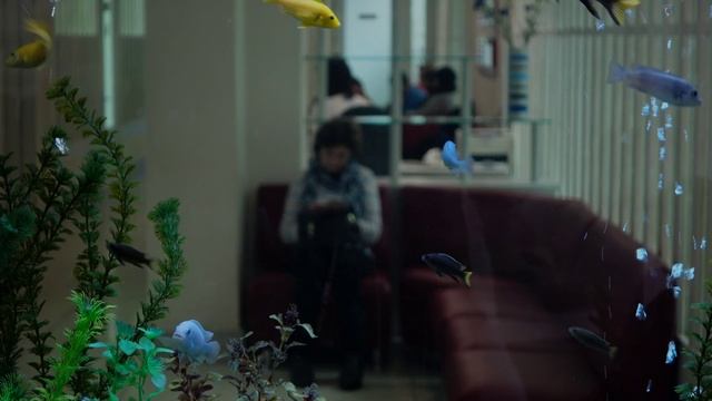 Aquarium смотреть онлайн