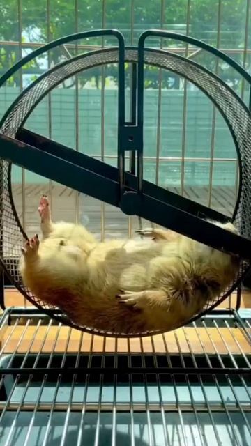 Как я занимаюсь спортом😎