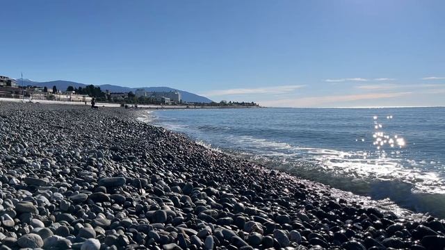 Веб камера Сириус (Сочи) смотреть онлайн