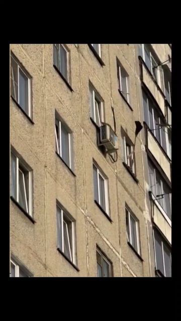 #соседи #разборка #смех #юмор #ржака смотреть онлайн