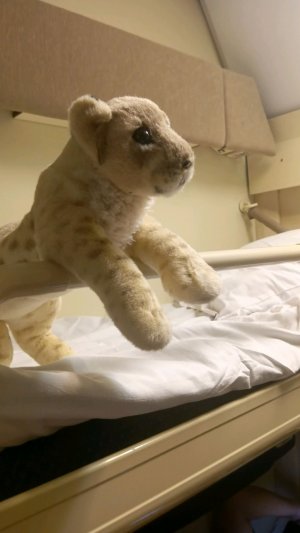 бумажная распаковка